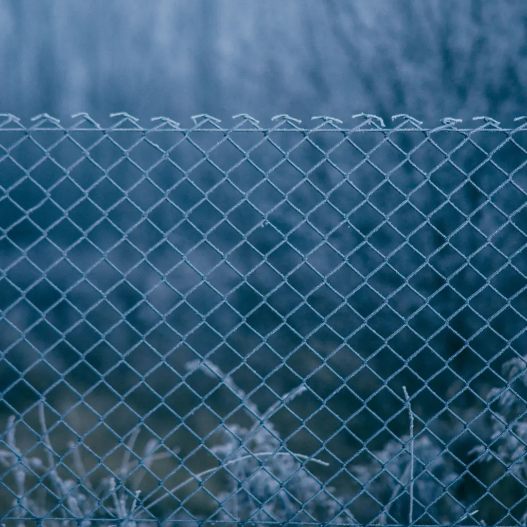 Installed chain-link fencing with its diamond mesh and supporting top edge in sharp focus against winter vegetation.