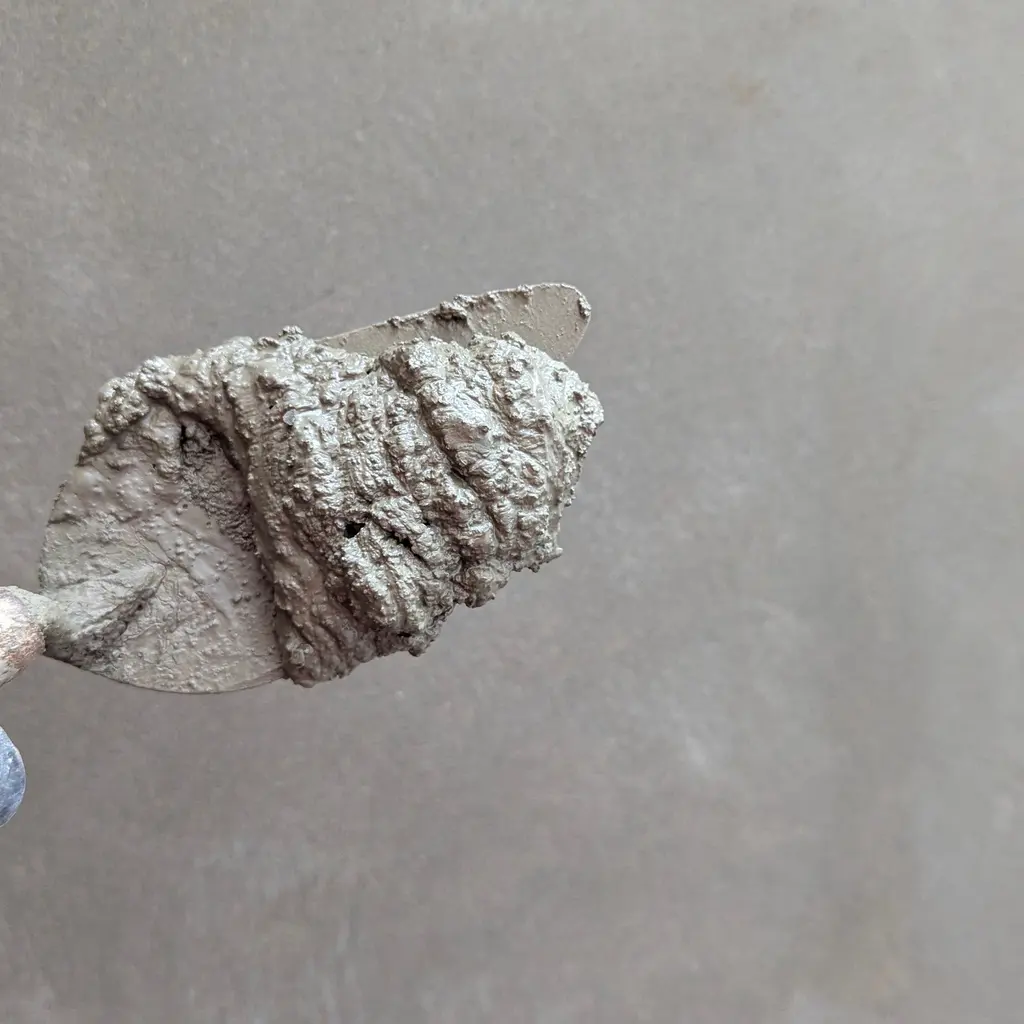 Wet cement on a hand-held trowel against a rendered wall.