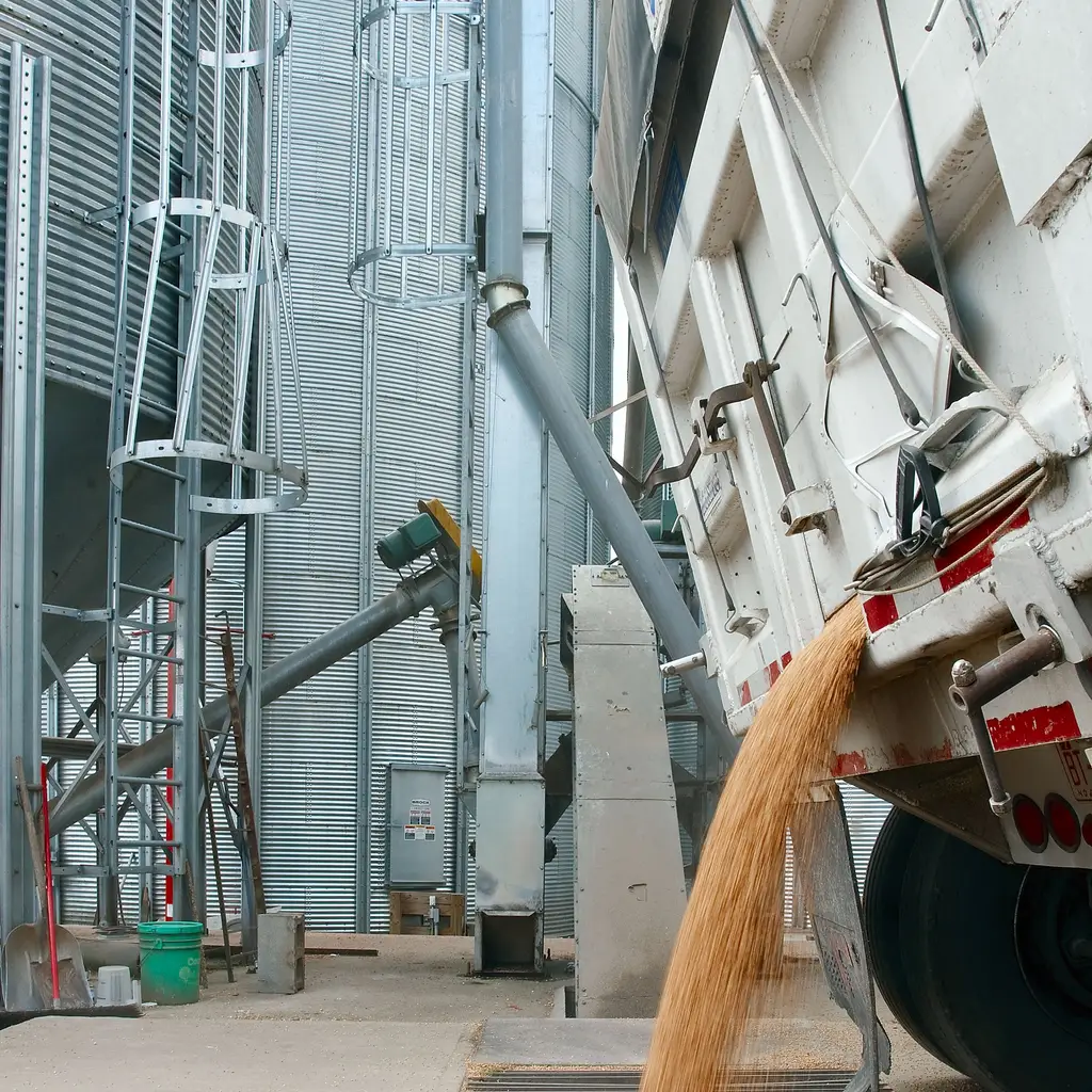 A bulk-grain trailer unloads grain into a receiving grate beside industrial storage silos.