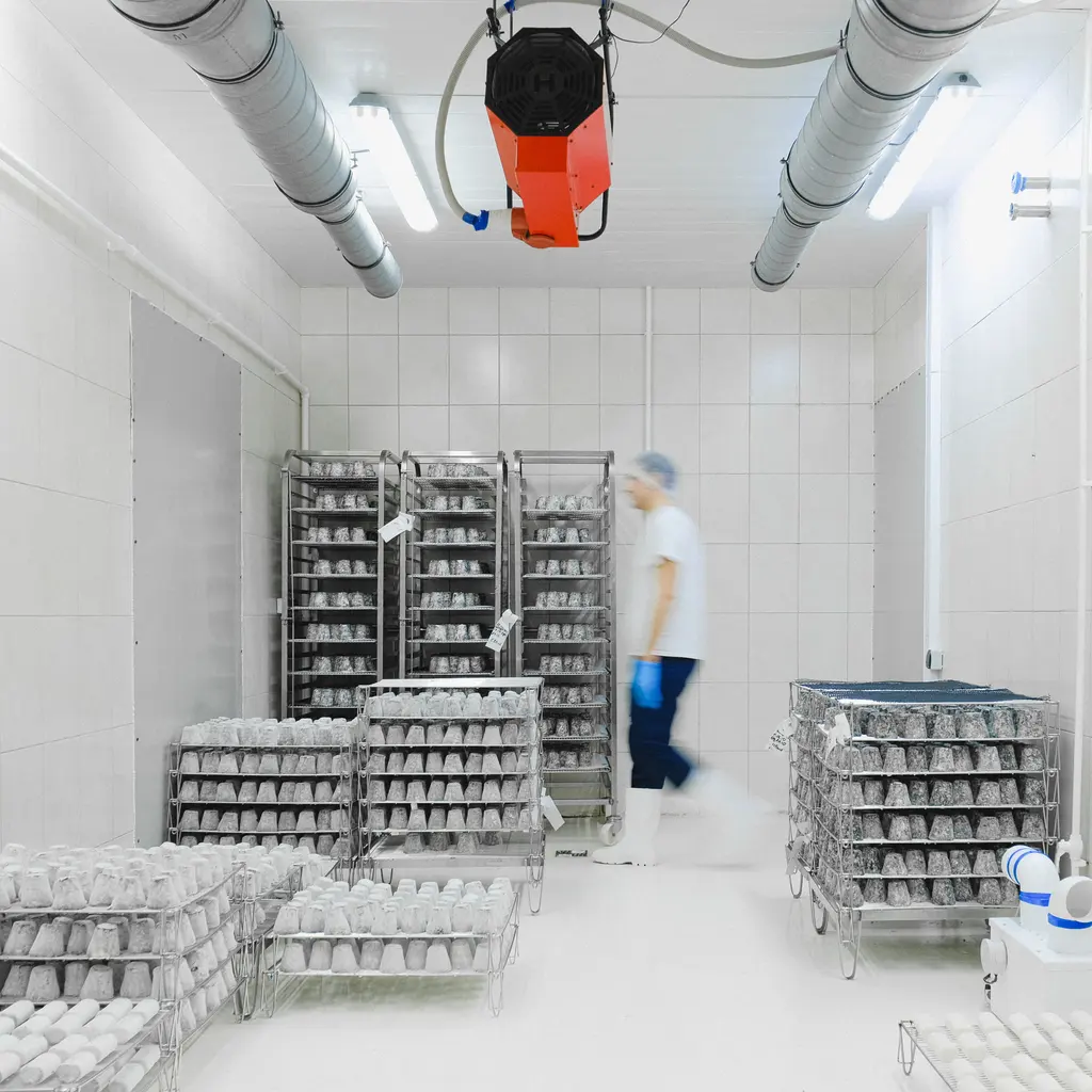 Racks of packaged food in a bright cold-storage room with overhead ducts and a worker moving through the aisle.