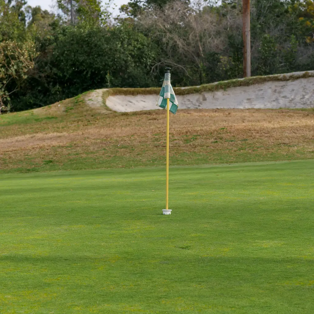 A checkered flag marks a golf hole, with a sand bunker behind the green.