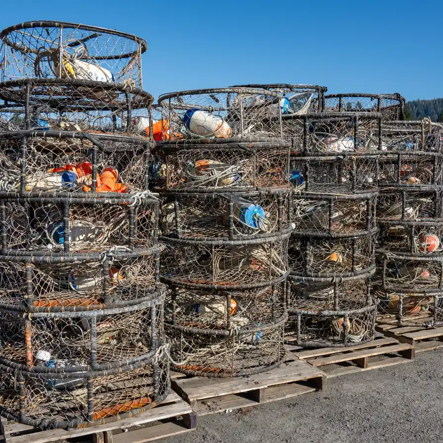 Commercial crab pots stacked at a dock with ropes and floats inside the traps.
