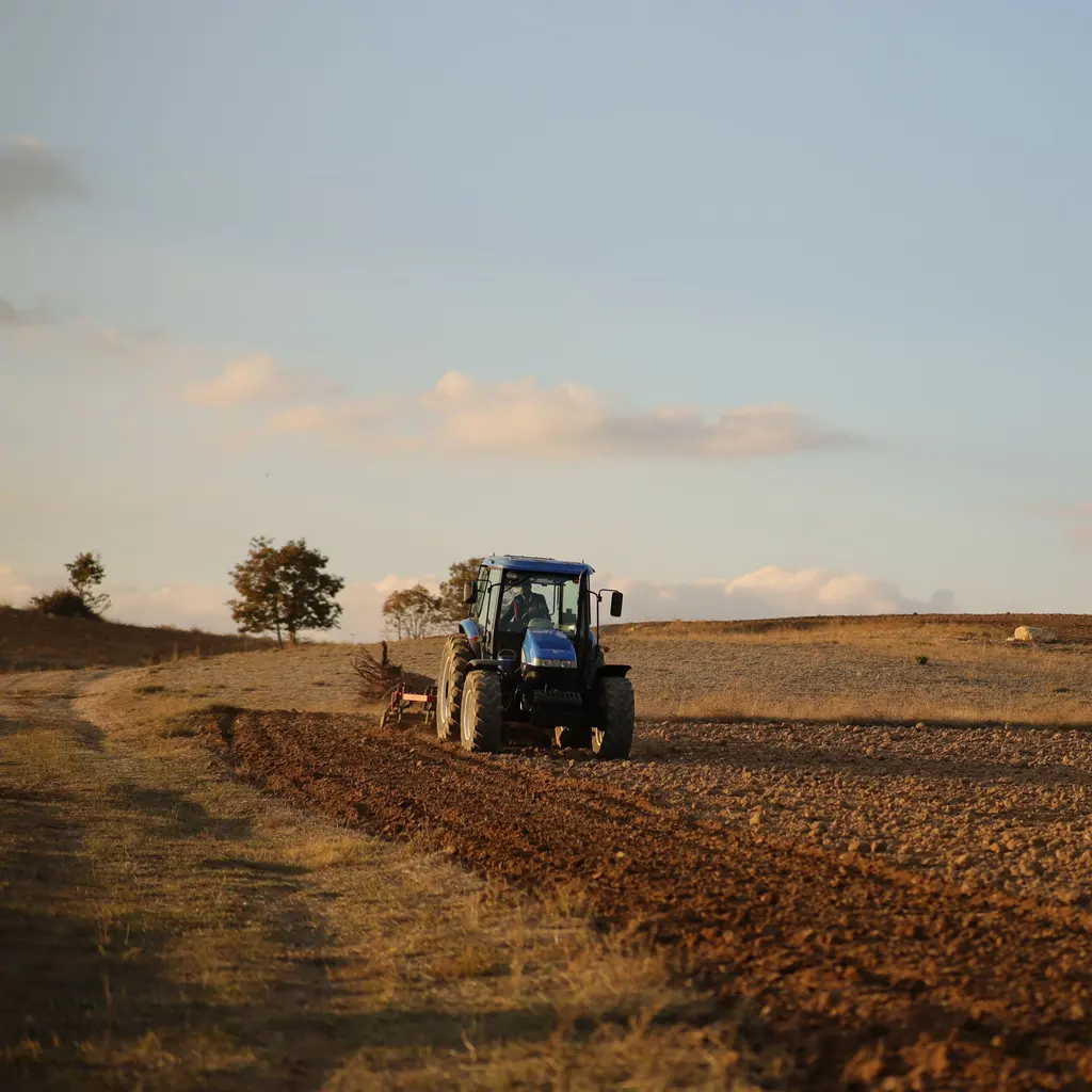A tractor working across a cultivated field beneath a pale evening sky.