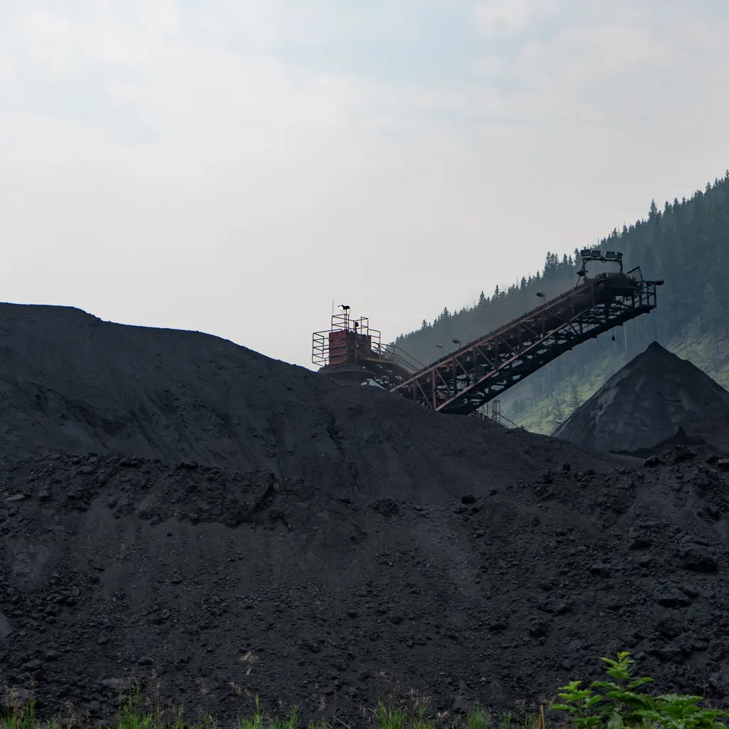 Coal stockpiles beneath a conveyor at an industrial bulk-handling facility.