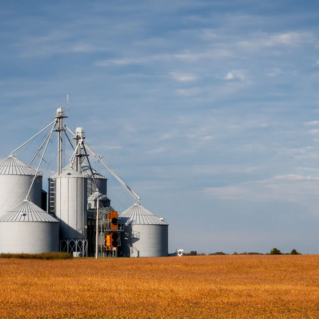 Metal grain-storage silos with elevator equipment beside a golden field.