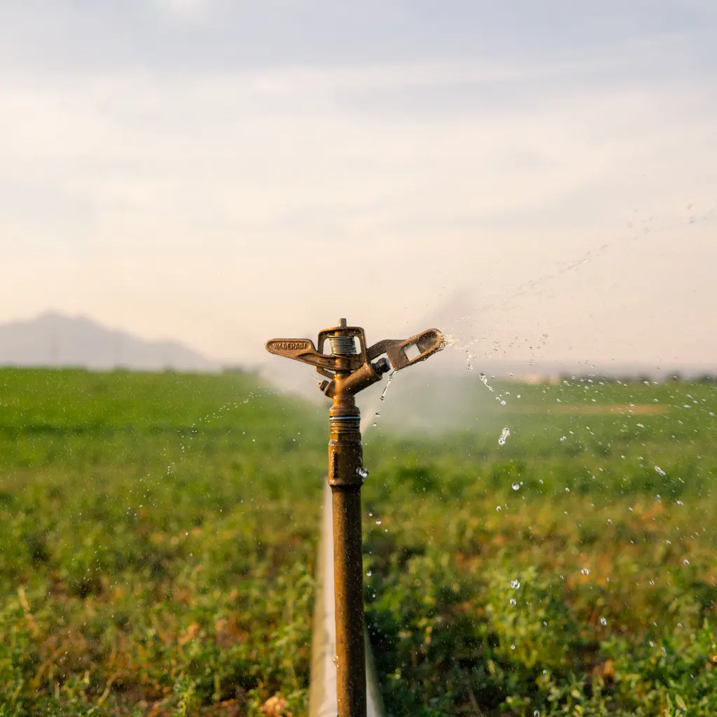 A metal agricultural irrigation sprinkler spraying water over a green field.