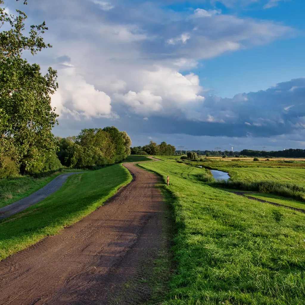 A maintenance track along a grass-covered flood levee beside a channel and lower-lying fields.