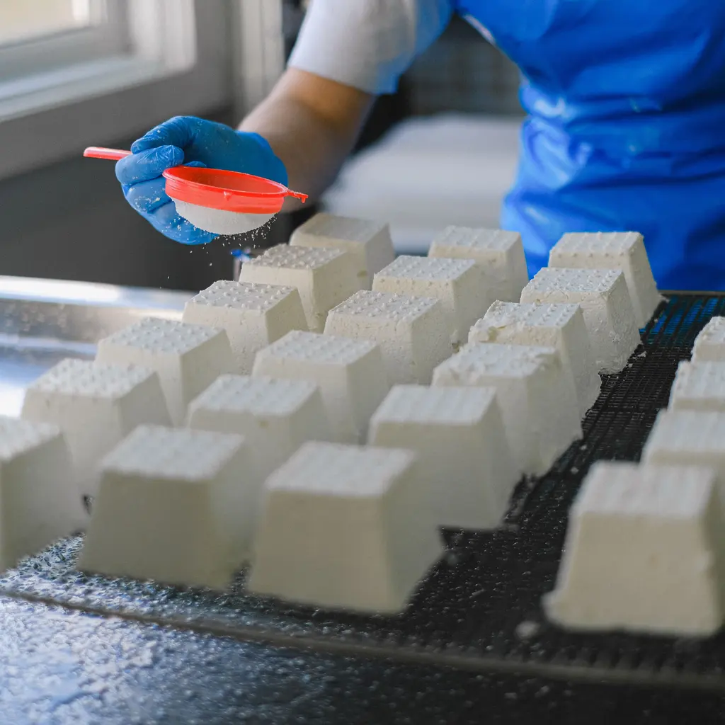 Gloved worker sprinkling salt over fresh cheese blocks on a dairy production table.