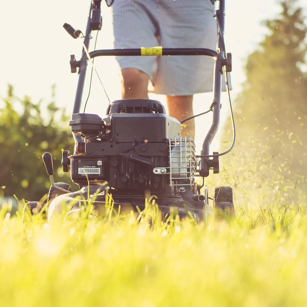 A low-angle view of a push mower moving through grass.