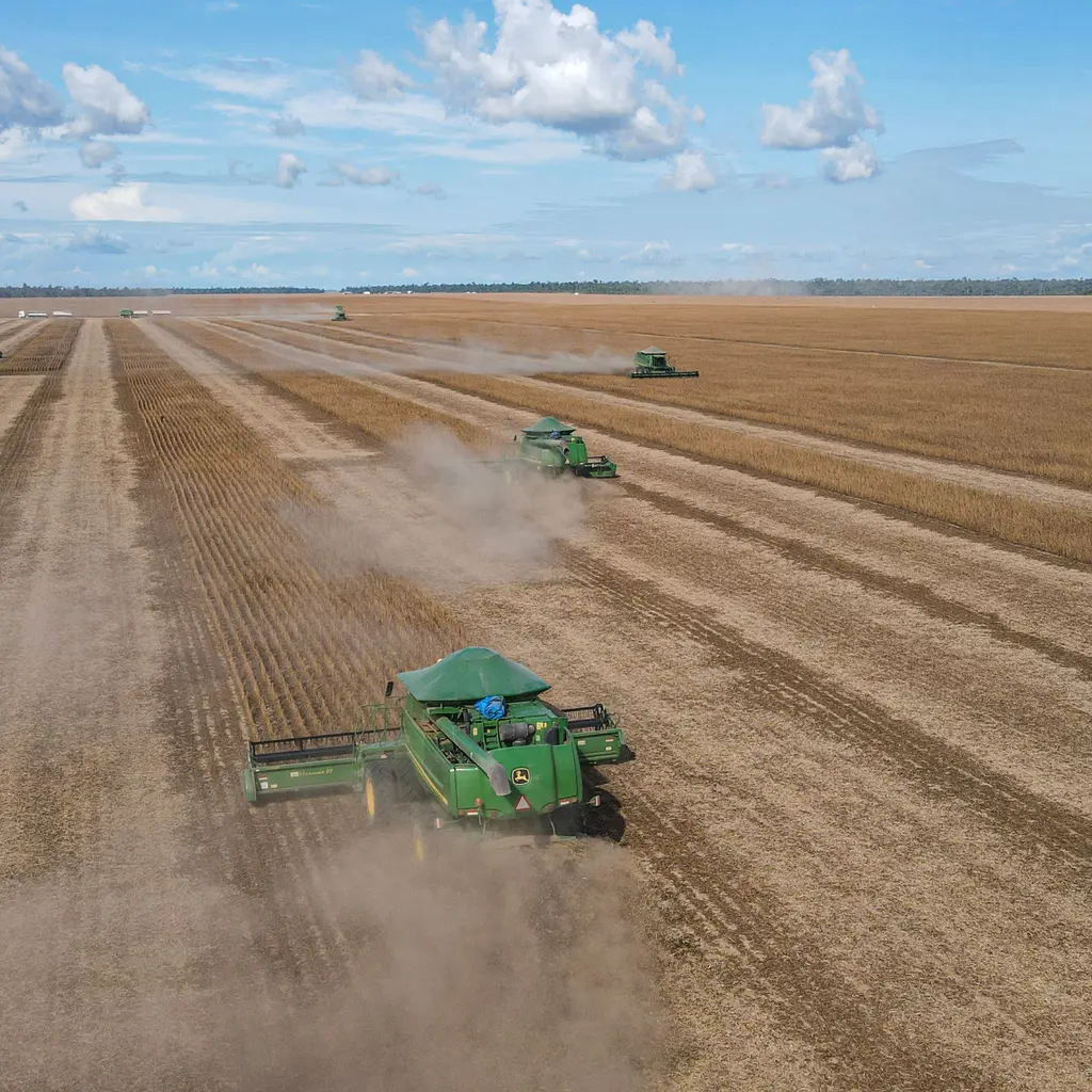 Combine harvesters working along parallel rows in a soybean field.