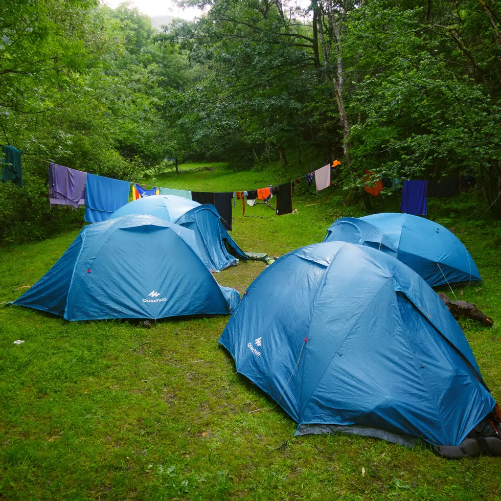 Blue tents pitched together on grass beneath trees at a campsite.