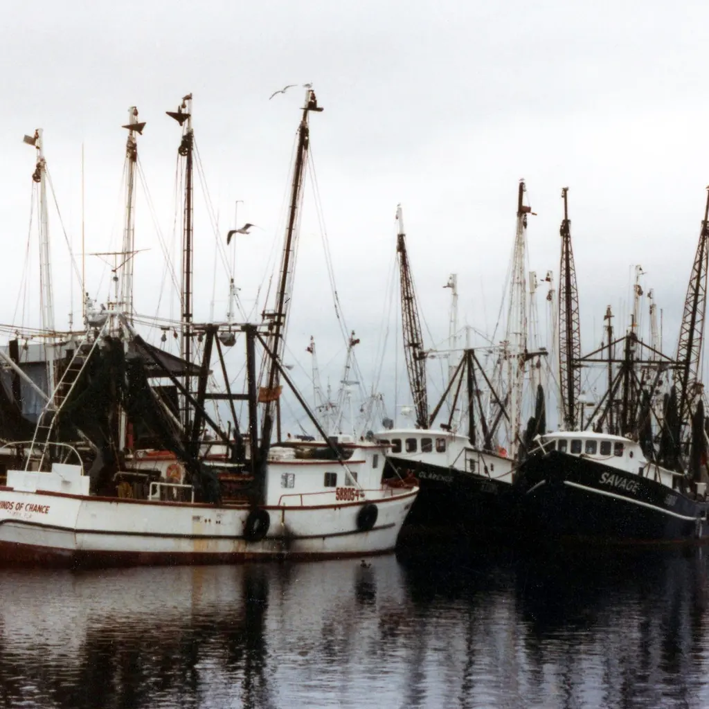 Commercial fishing boats with tall rigging moored side by side in a harbor.
