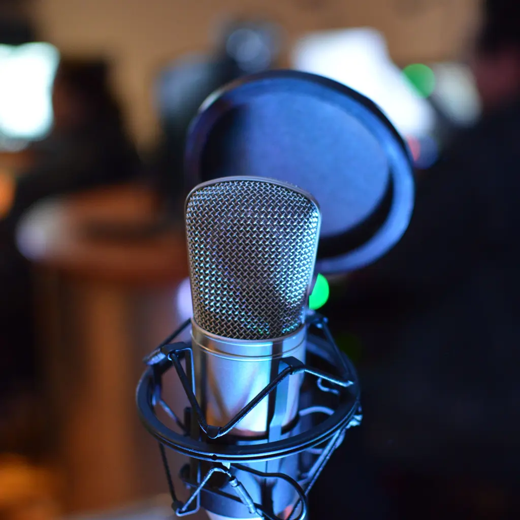 A studio microphone in a shock mount with a pop filter.