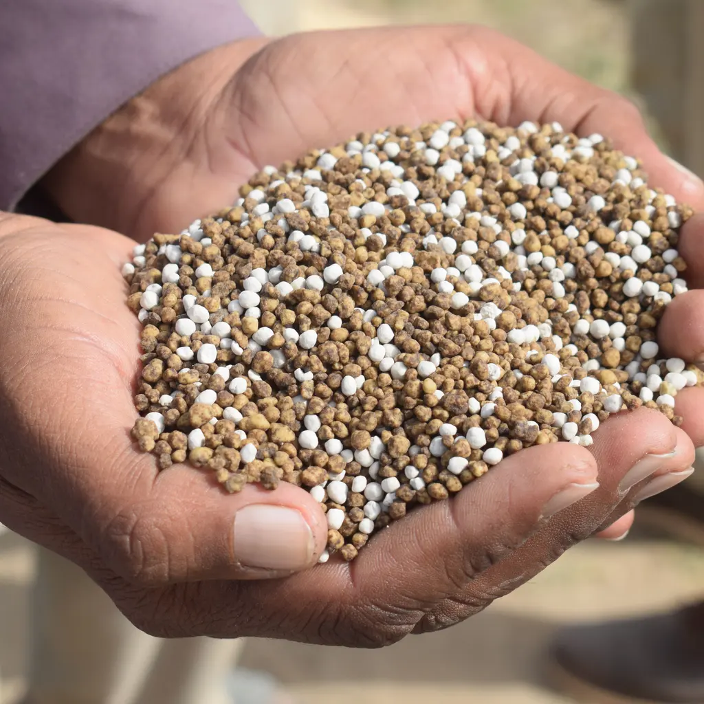 Hands holding a mixture of granular fertilizer.