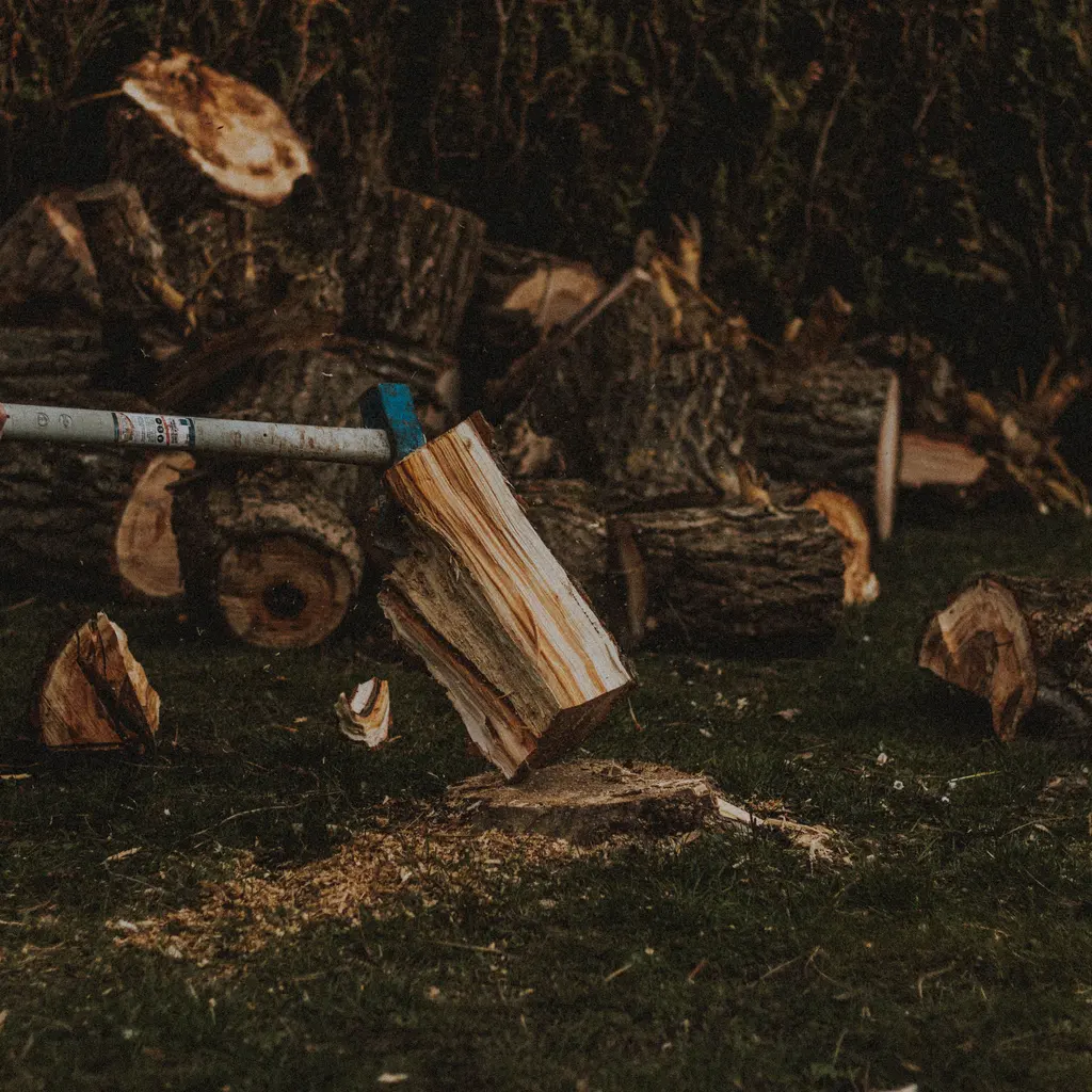 An axe splitting a log beside a pile of cut firewood.