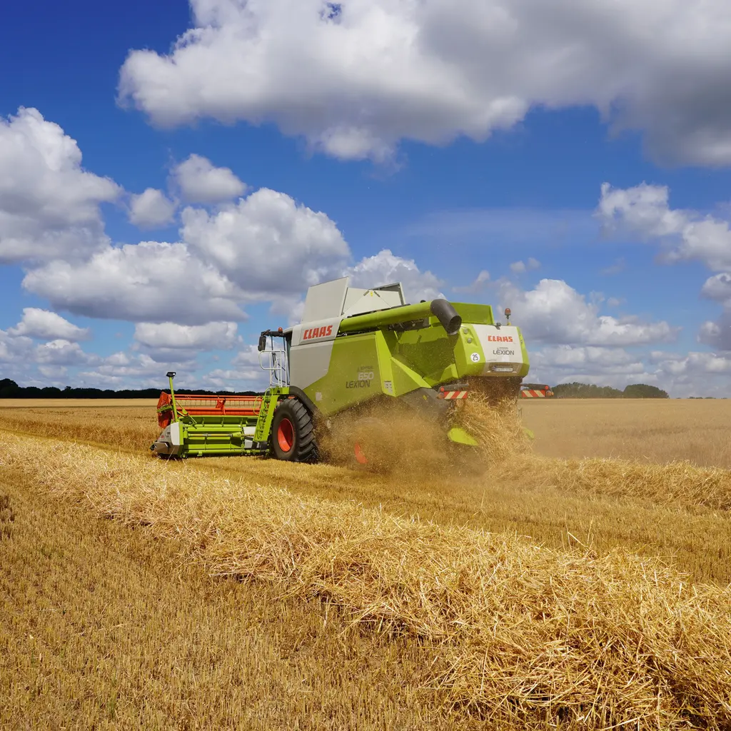 A combine harvester cutting a field of ripe grain.