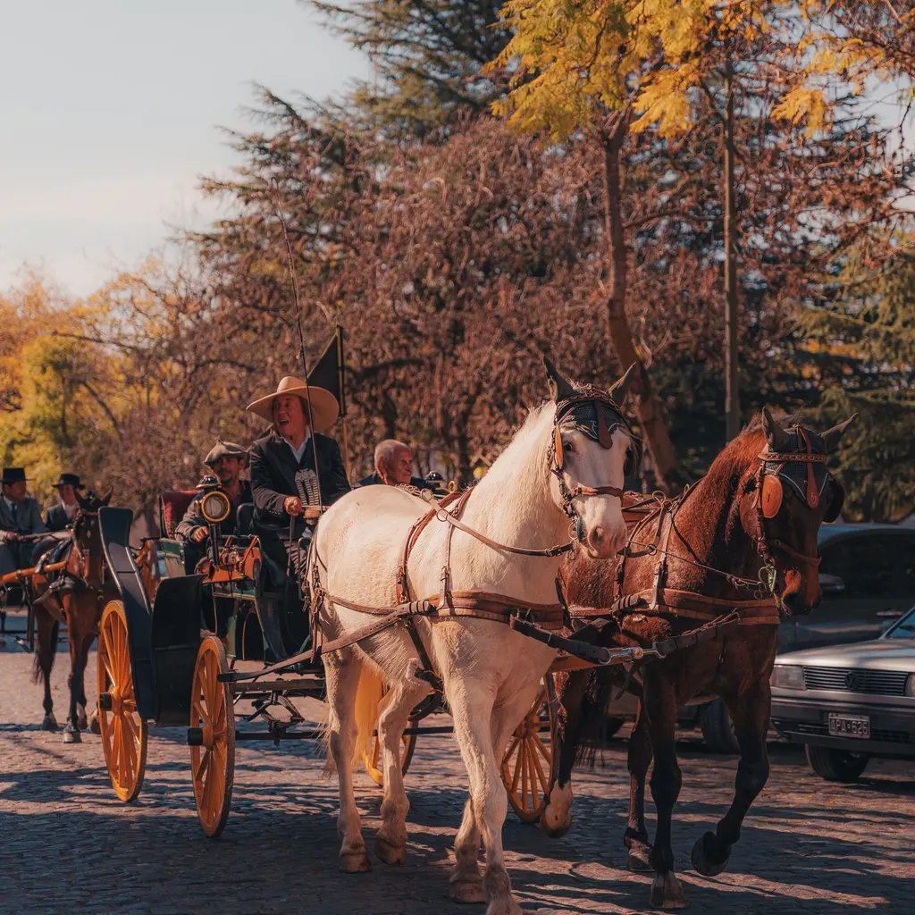 Two horses pulling a passenger carriage along a tree-lined street.