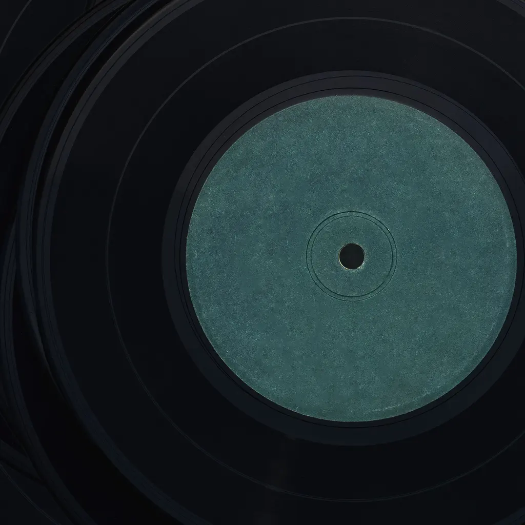 A vinyl record with a plain center label on a dark background.