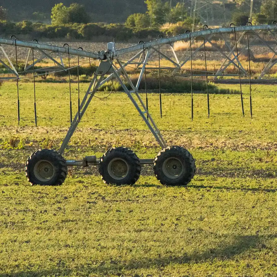 A wheeled irrigation boom and water-distribution pipe across a field.