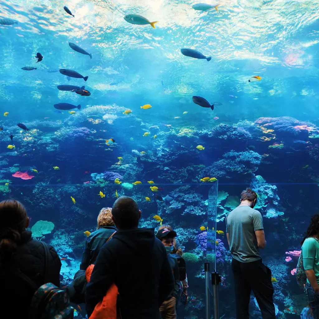 Visitors watching fish through the large viewing window of an aquarium.