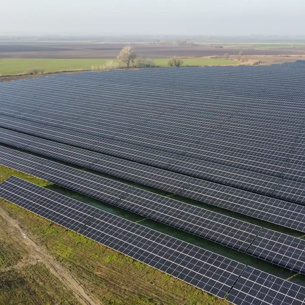 Rows of ground-mounted solar panels stretch across a rural field.