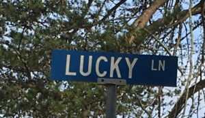a blue street sign with white text