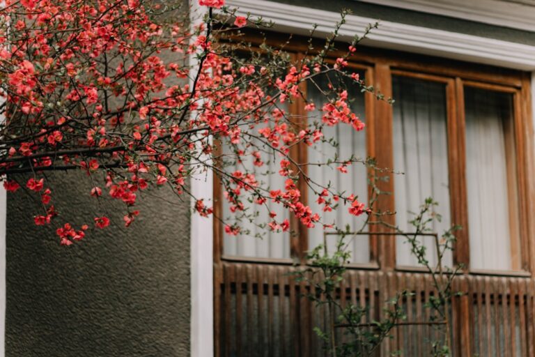 "Fall home maintenance tips: Prepare your home with seasonal blooms before winter weather arrives."