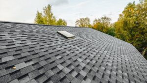 How Roofs Impact Your Home Insurance Premiums