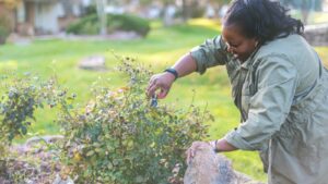 Optimize Your Home's Safety with Smart Landscaping Tips