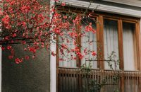 "Fall home maintenance tips: Prepare your home with seasonal blooms before winter weather arrives."