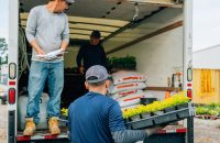 Insurance Essentials for Landscaping Businesses