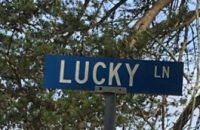 a blue street sign with white text