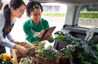 Optimize Business Coverage This Spring for Maximum Protection