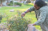 Optimize Your Home's Safety with Smart Landscaping Tips