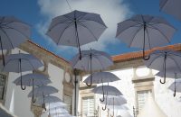 "Create a protective shield for your business with Employment Practices Insurance and stay covered under umbrellas."